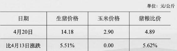 第一张.jpg